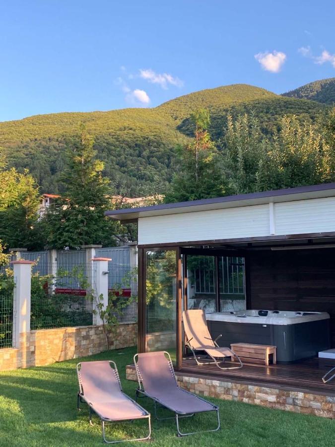 Villa Detelina Saparewa Banja Exterior foto